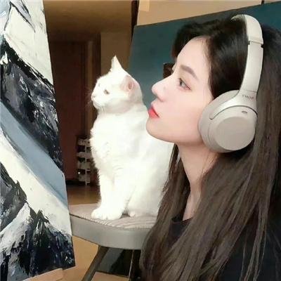 反诈·猎蜂者